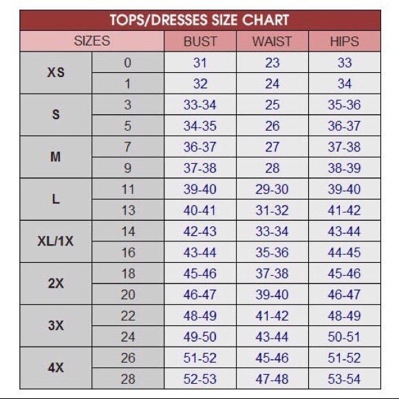 Ruched Crop Top and Leggings Set - Picture 2 of 2